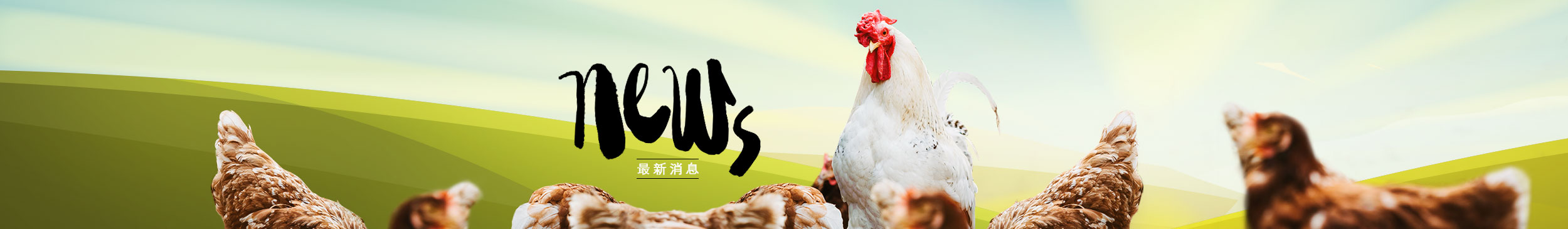 jlfood_web_news_toppic_